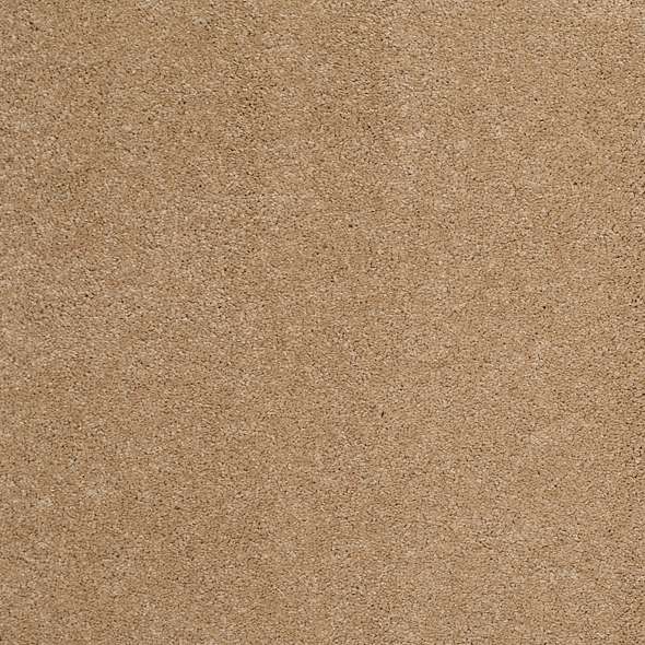 Caress - Cashmere Classic III - Carpet Shaw Floors