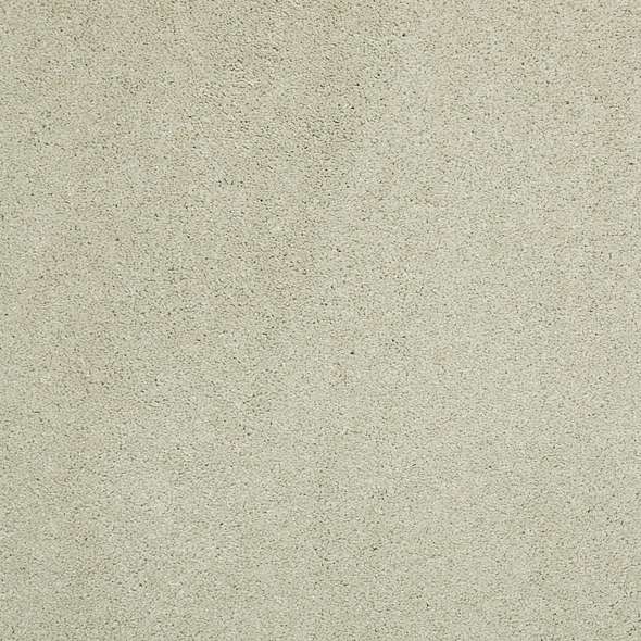 Caress - Cashmere Classic III - Carpet Shaw Floors