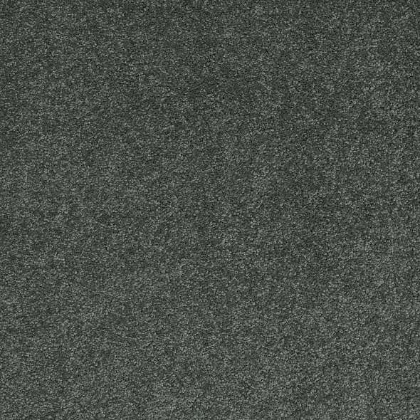 Caress - Cashmere Classic III - Carpet Shaw Floors