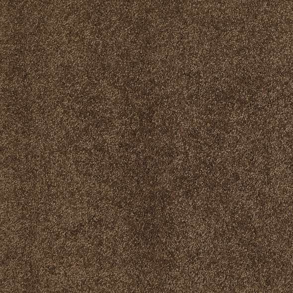 Caress - Cashmere Classic III - Carpet Shaw Floors