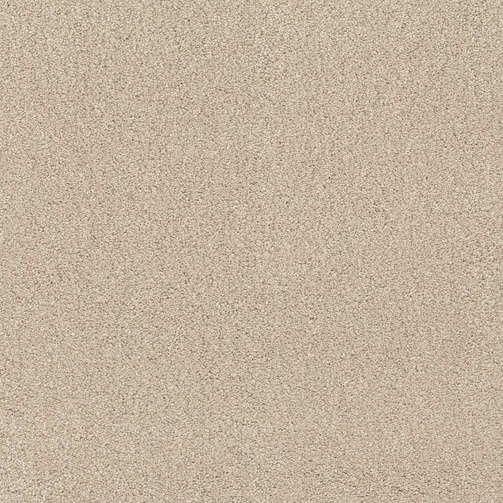 Caress - Cashmere Classic IV - Carpet Shaw Floors