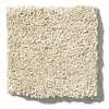 Caress - Cashmere IV - Carpet Shaw Floors