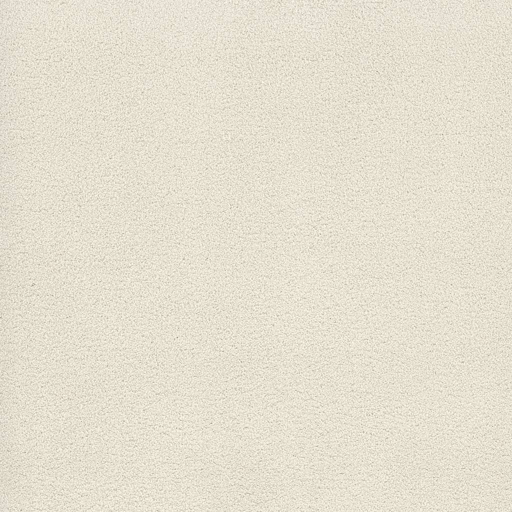 Caress - Cashmere Classic IV - Carpet Shaw Floors