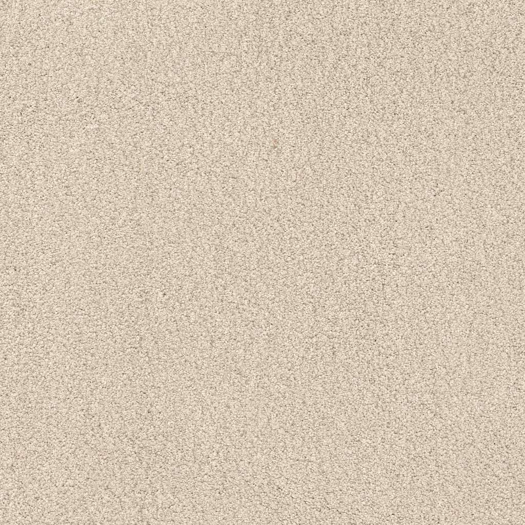 Caress - Cashmere Classic IV - Carpet Shaw Floors
