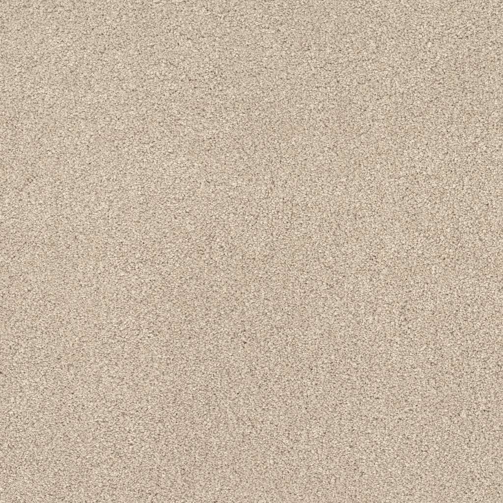 Caress - Cashmere Classic IV - Carpet Shaw Floors