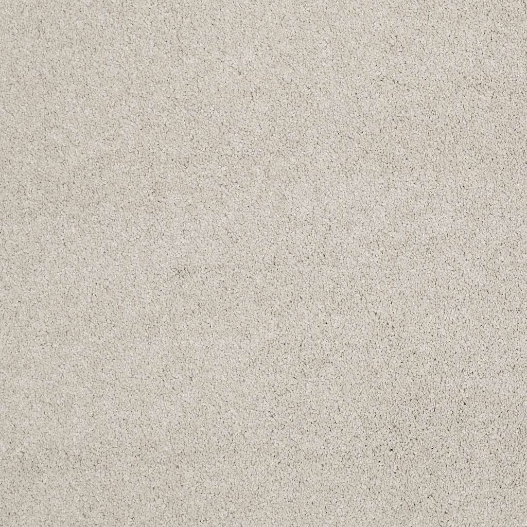 Caress - Cashmere Classic IV - Carpet Shaw Floors