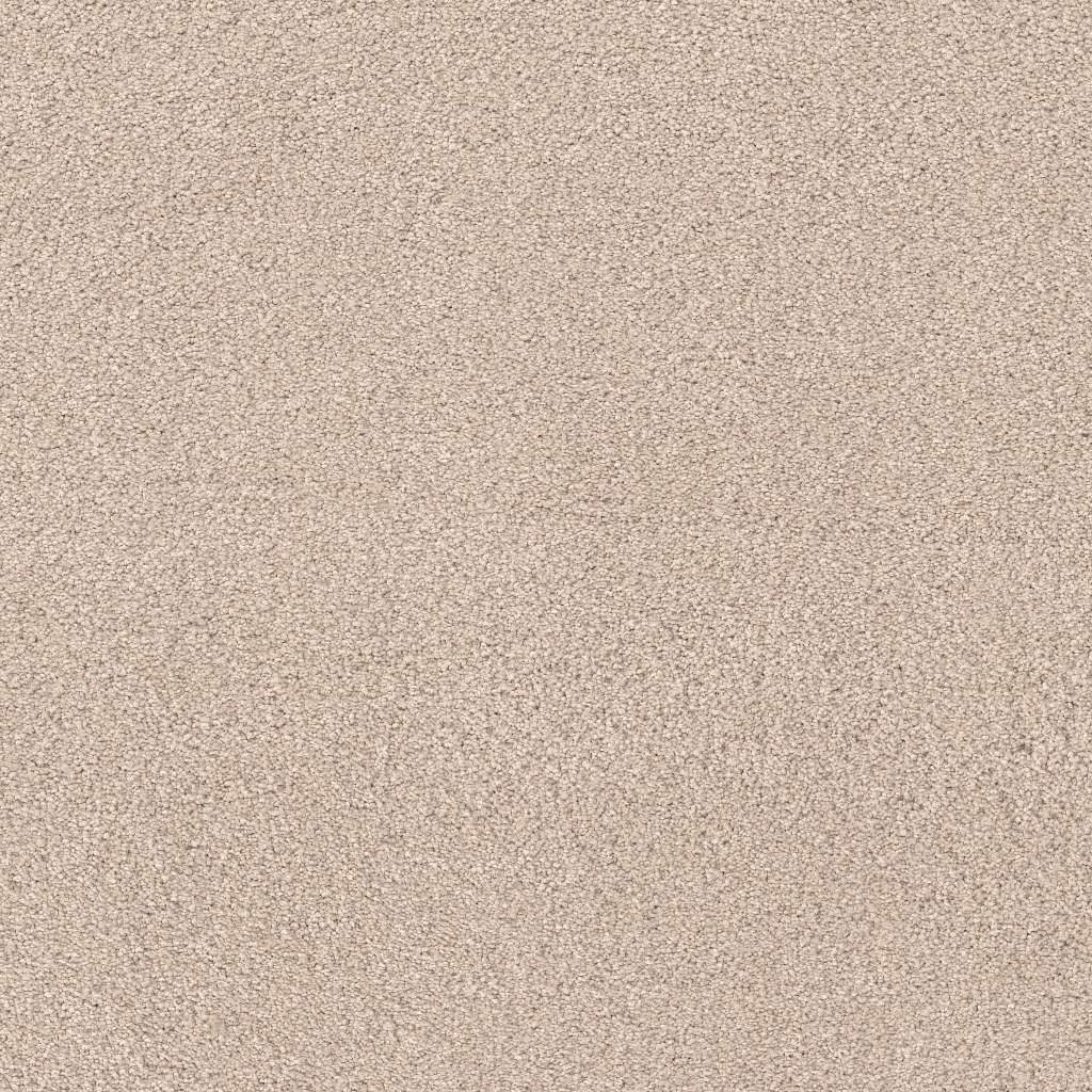 Caress - Cashmere Classic IV - Carpet Shaw Floors