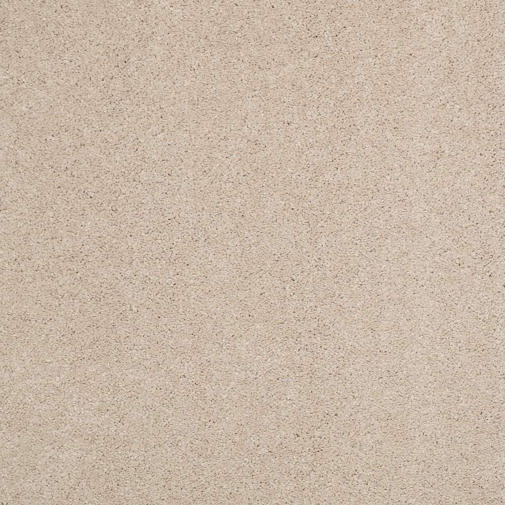 Caress - Cashmere Classic IV - Carpet Shaw Floors