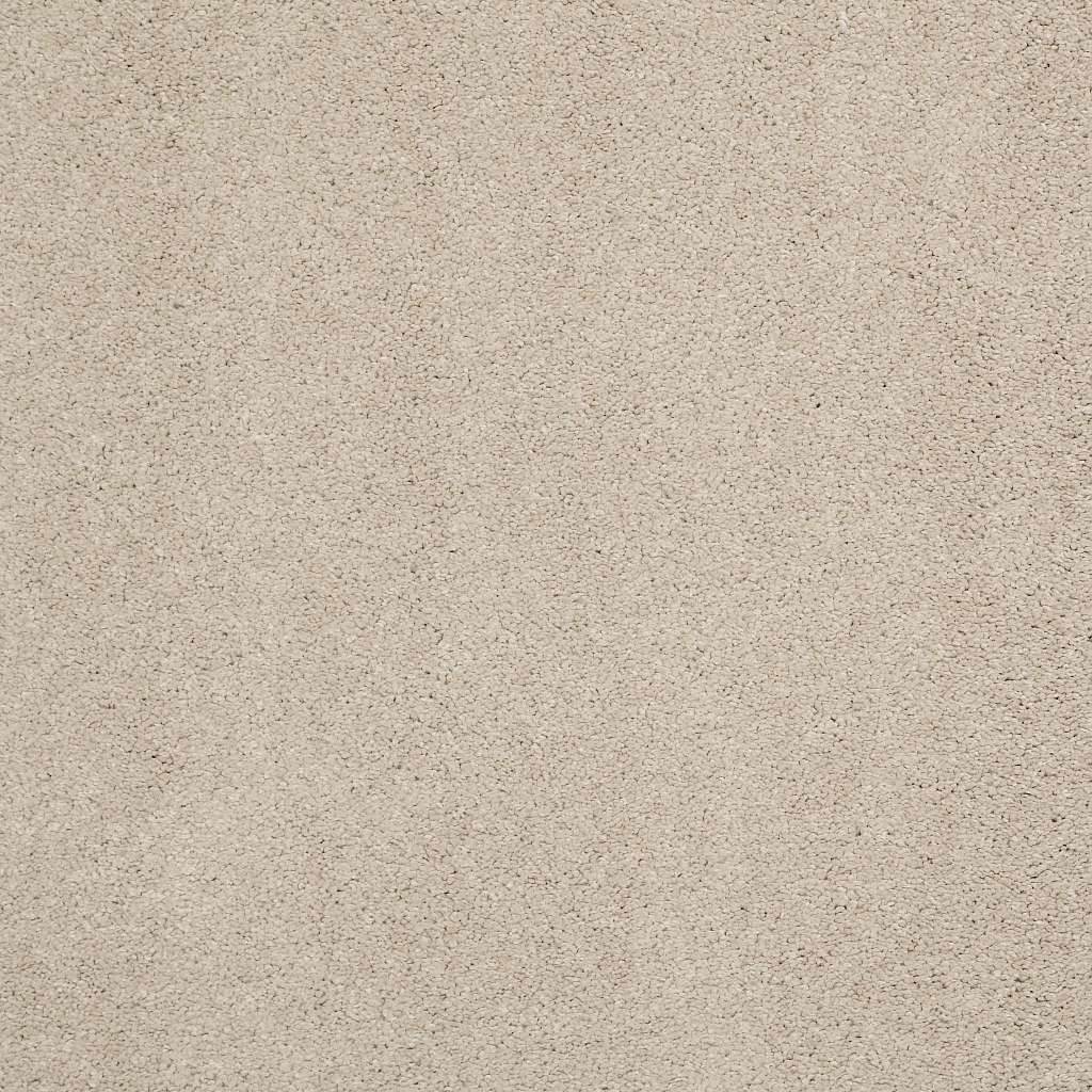 Caress - Cashmere Classic IV - Carpet Shaw Floors