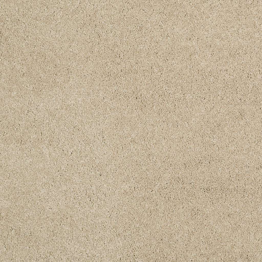 Caress - Cashmere Classic IV - Carpet Shaw Floors
