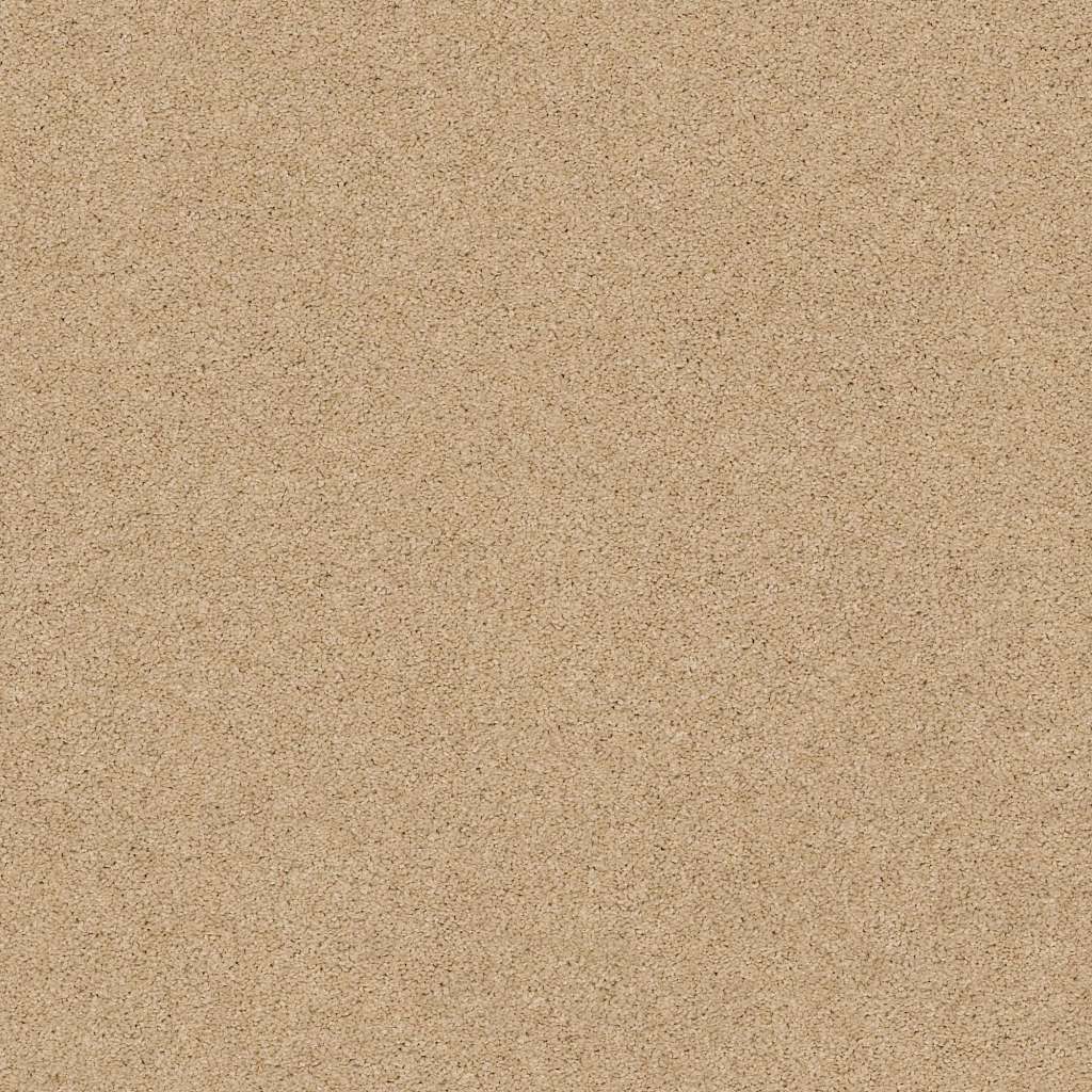 Caress - Cashmere Classic IV - Carpet Shaw Floors