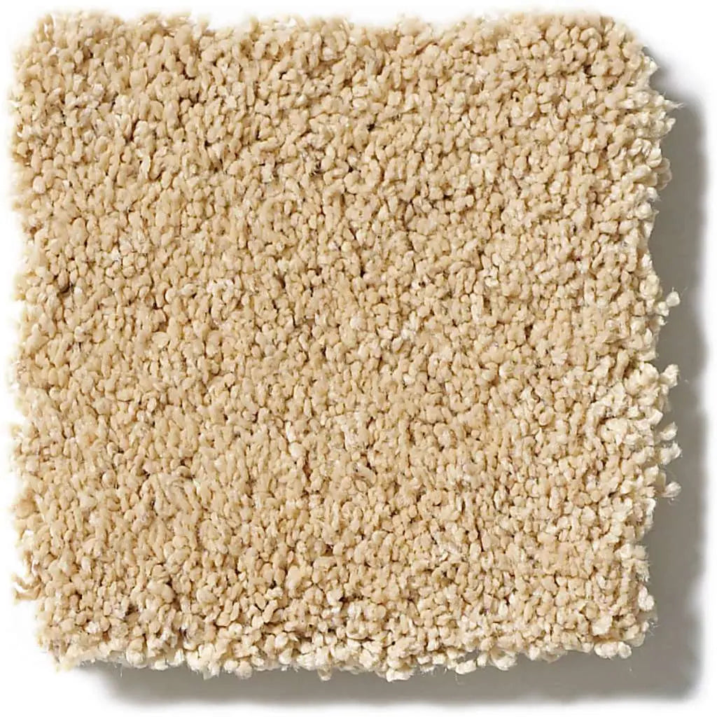 Caress - Cashmere Classic IV - Carpet Shaw Floors