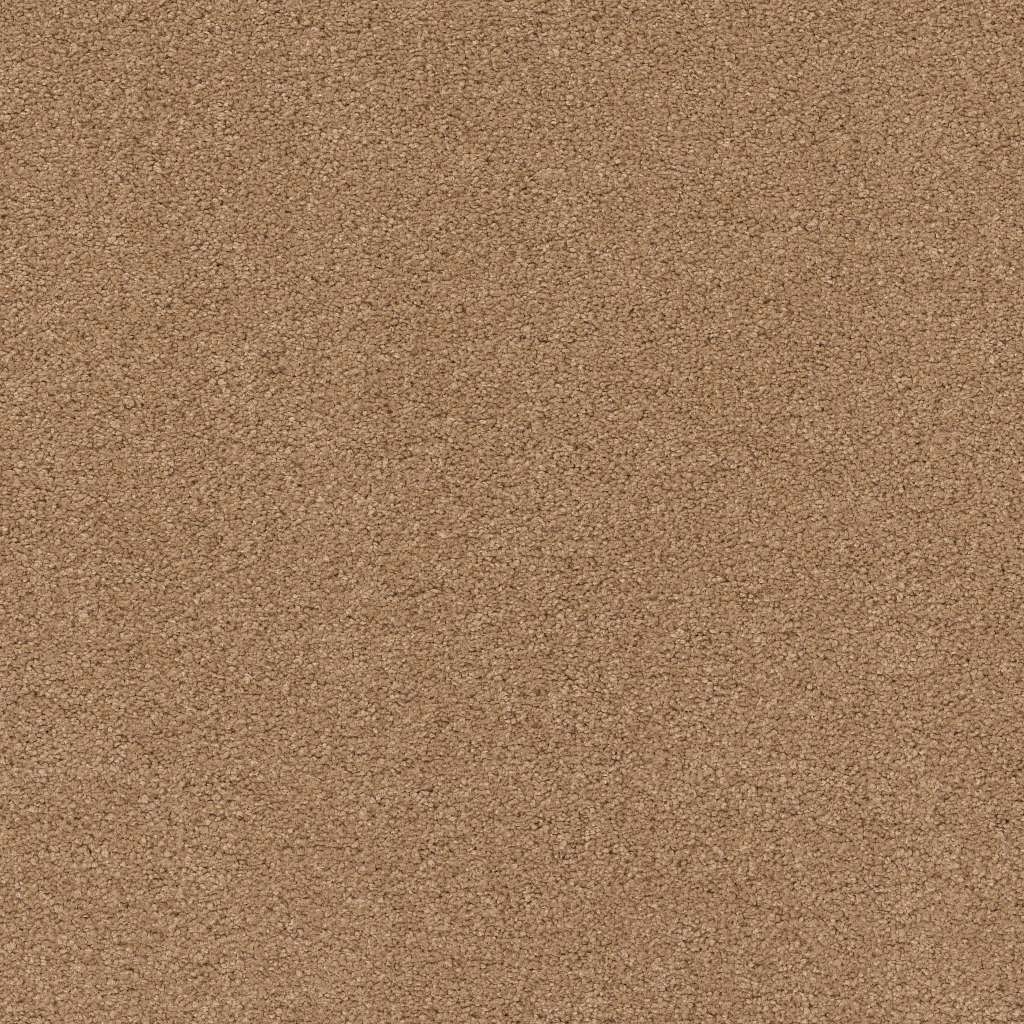 Caress - Cashmere Classic IV - Carpet Shaw Floors