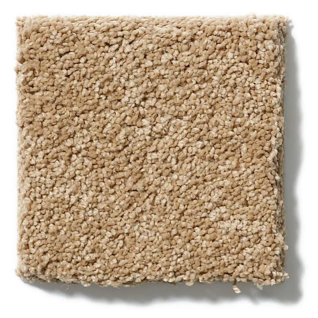 Caress - Cashmere Classic IV - Carpet Shaw Floors