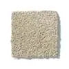 Caress - Cashmere IV - Carpet Shaw Floors