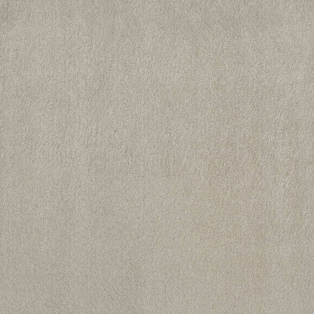 Caress - Cashmere Classic IV - Carpet Shaw Floors