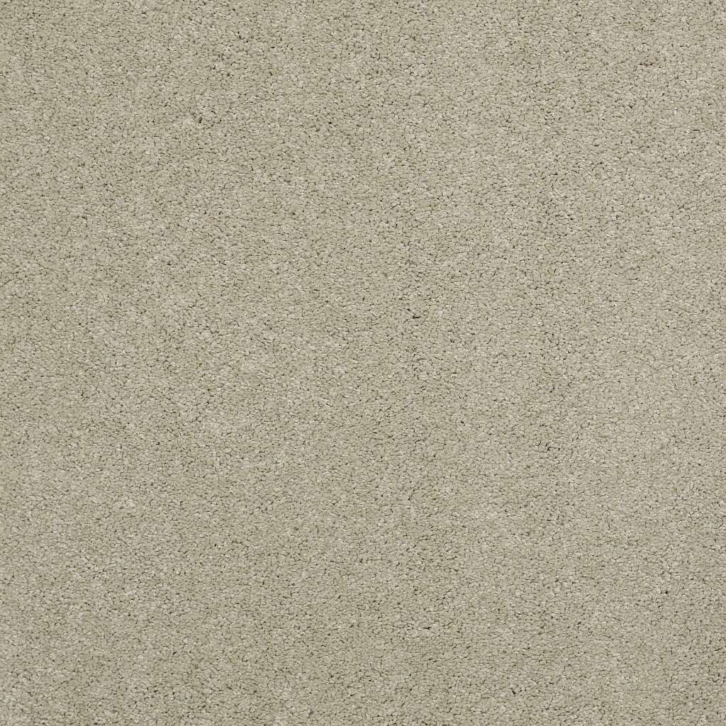 Caress - Cashmere Classic IV - Carpet Shaw Floors