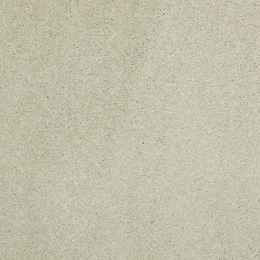 Caress - Cashmere Classic IV - Carpet Shaw Floors