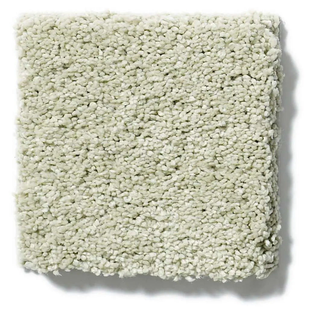 Caress - Cashmere Classic IV - Carpet Shaw Floors