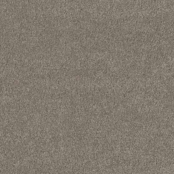 Caress - Cashmere Classic IV - Carpet Shaw Floors