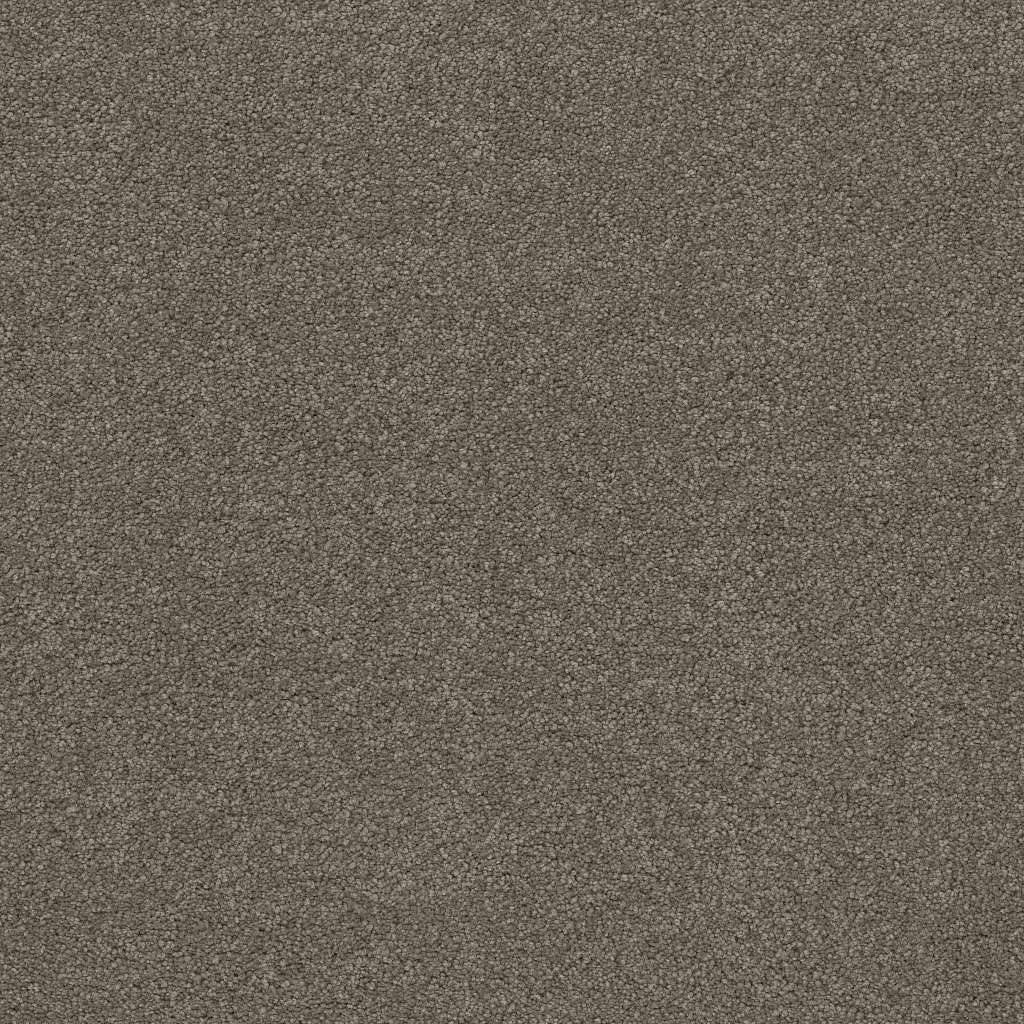 Caress - Cashmere Classic IV - Carpet Shaw Floors