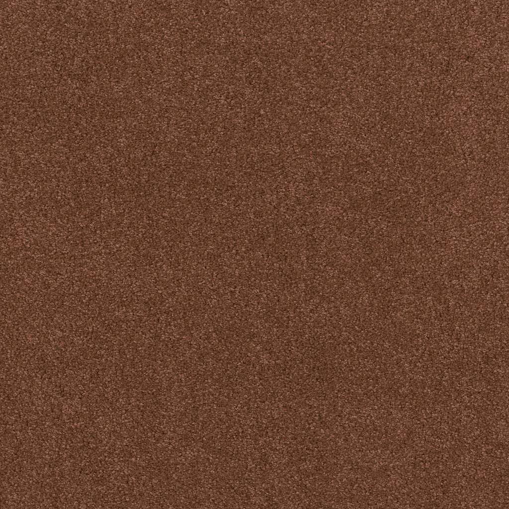 Caress - Cashmere Classic IV - Carpet Shaw Floors