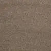 Caress - Cashmere Classic IV - Carpet Shaw Floors
