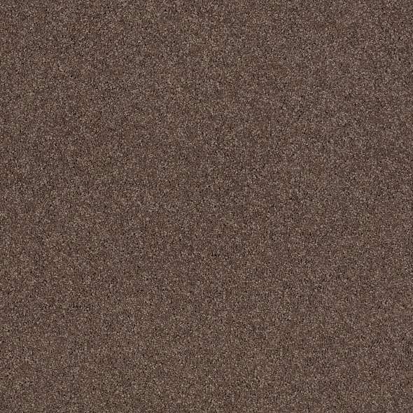 Caress - Cashmere Classic IV - Carpet Shaw Floors