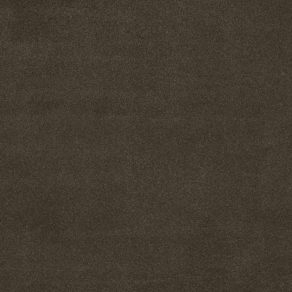 Caress - Cashmere Classic IV - Carpet Shaw Floors