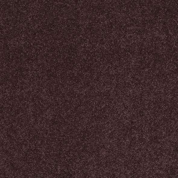 Caress - Cashmere IV - Carpet Shaw Floors