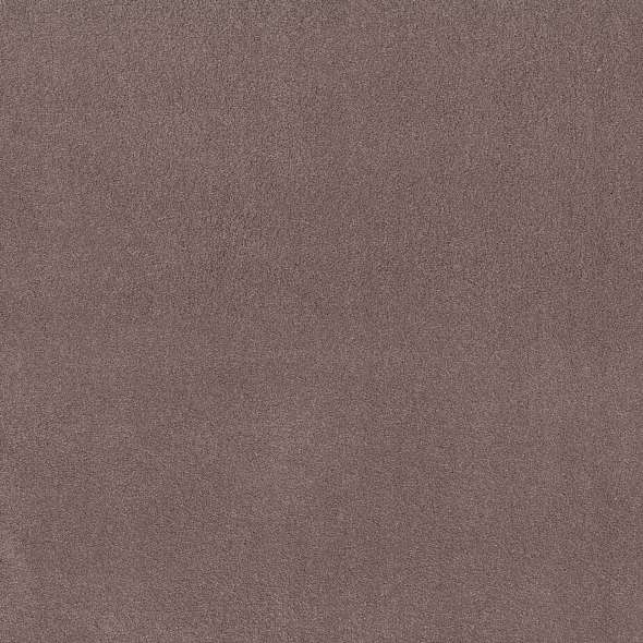 Caress - Cashmere Classic IV - Carpet Shaw Floors