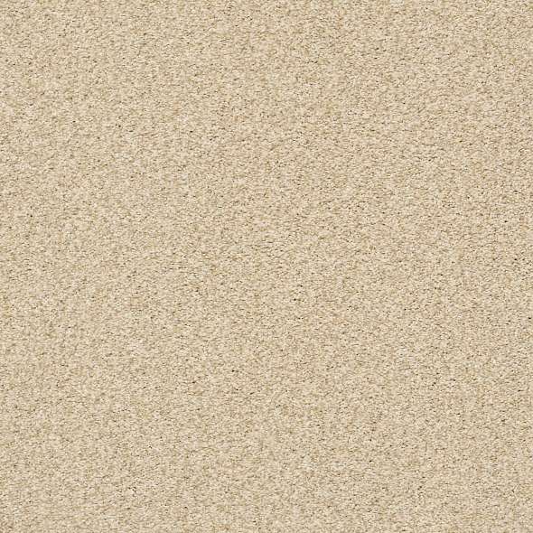 Colorwall - Tonal Comfort I - Carpet Shaw Floors