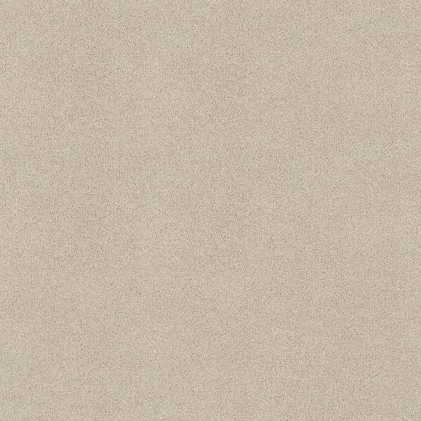 Colorwall - Tonal Comfort I - Carpet Shaw Floors