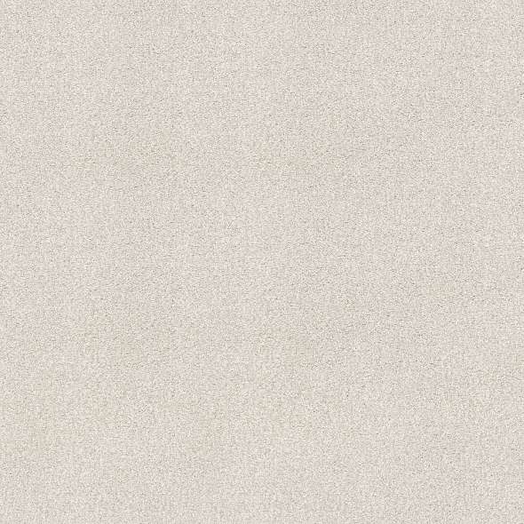 Colorwall - Tonal Comfort I - Carpet Shaw Floors