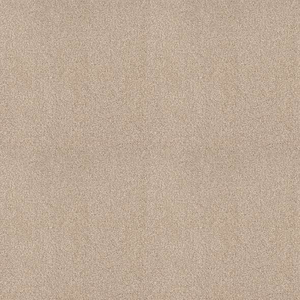 Colorwall - Tonal Comfort I - Carpet Shaw Floors