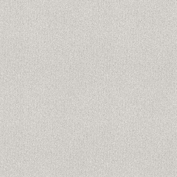 Colorwall - Find your comfort I - Tonal - Carpet Shaw Floors