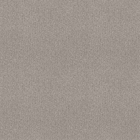 Colorwall - Tonal Comfort I - Carpet Shaw Floors