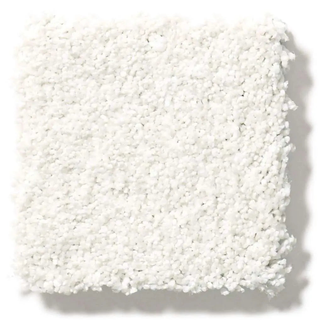 Colorwall - Find your comfort I - Tonal - Carpet Shaw Floors