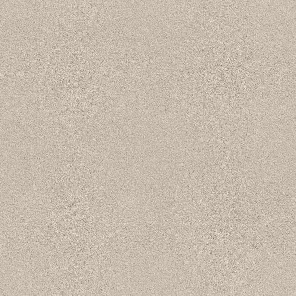 Colorwall - Tonal Comfort I - Carpet Shaw Floors