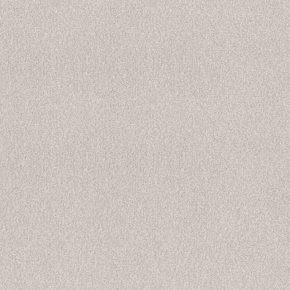 Colorwall - Find your comfort I - Tonal - Carpet Shaw Floors