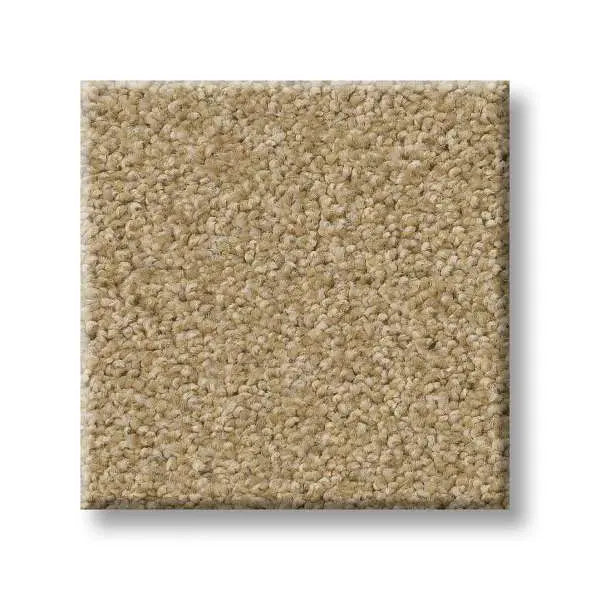Colorwall - Tonal Comfort I - Carpet Shaw Floors
