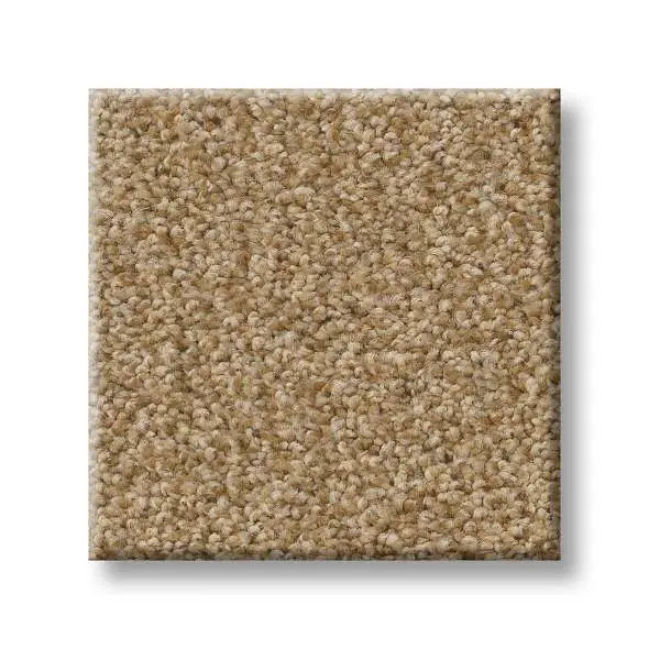 Colorwall - Tonal Comfort I - Carpet Shaw Floors