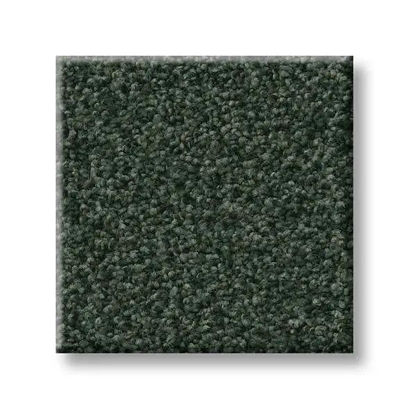 Colorwall - Tonal Comfort I - Carpet Shaw Floors