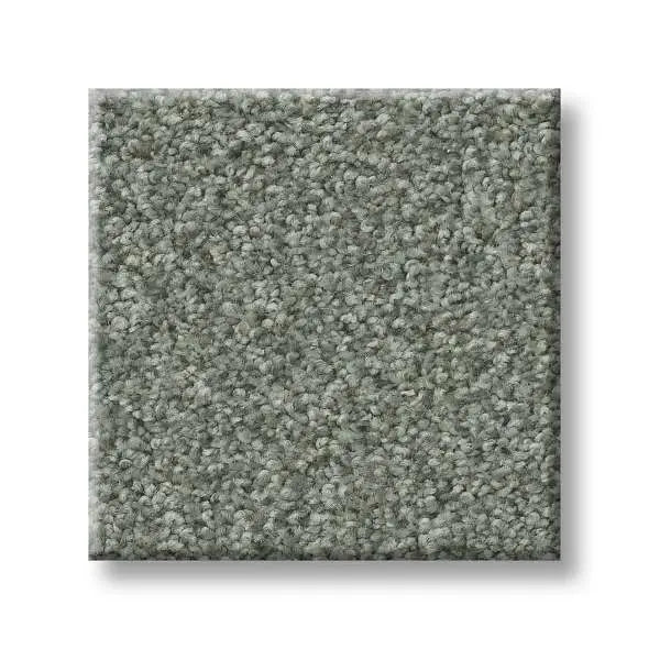 Colorwall - Tonal Comfort I - Carpet Shaw Floors