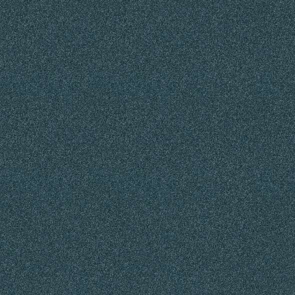 Colorwall - Tonal Comfort I - Carpet Shaw Floors