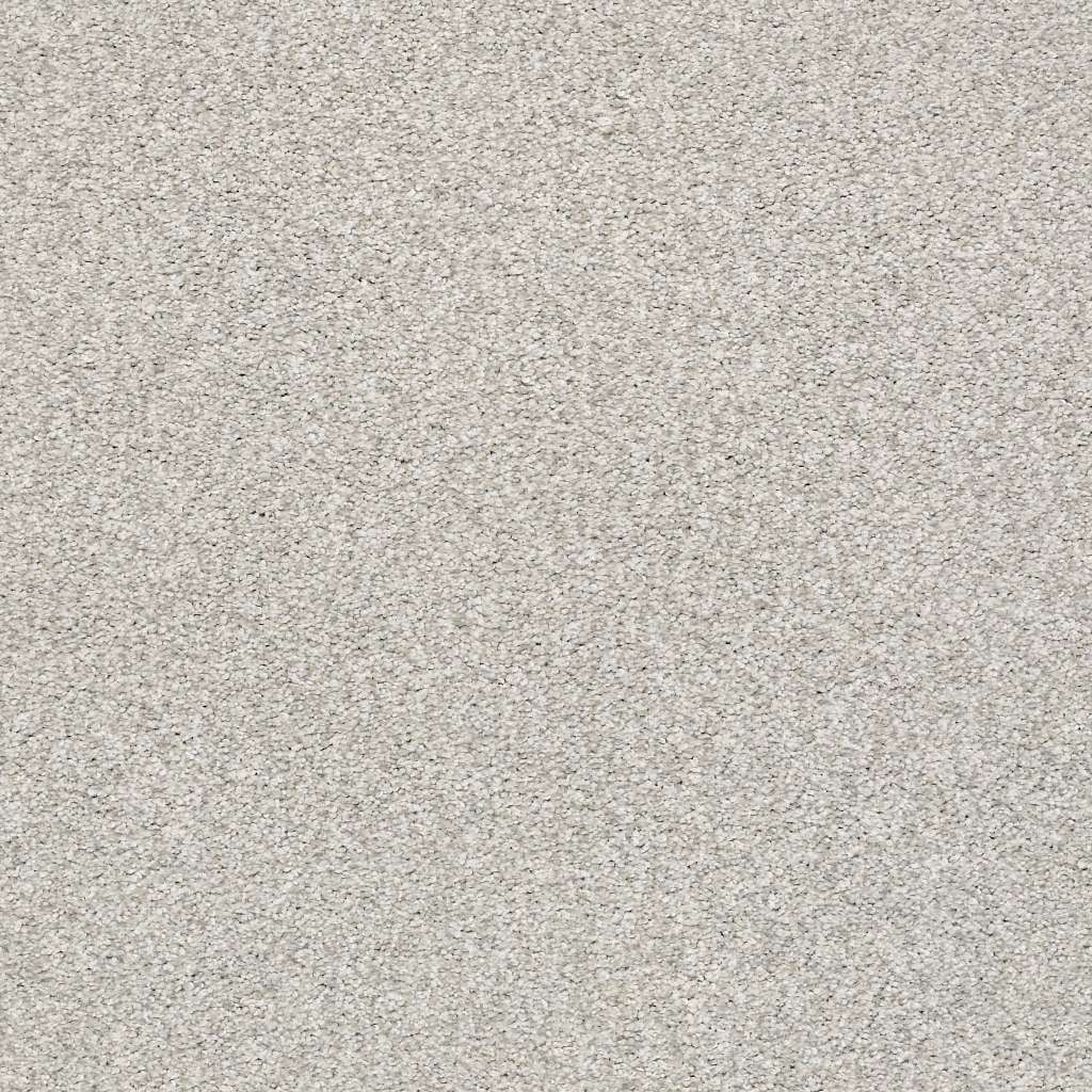 Colorwall - Tonal Comfort I - Carpet Shaw Floors