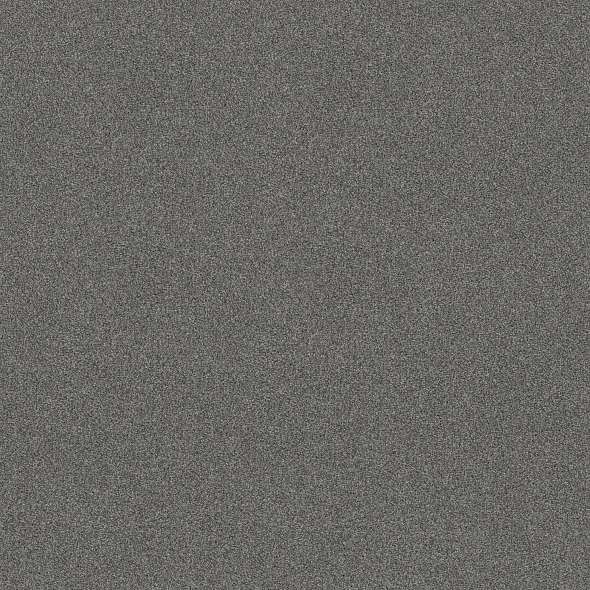 Colorwall - Tonal Comfort I - Carpet Shaw Floors