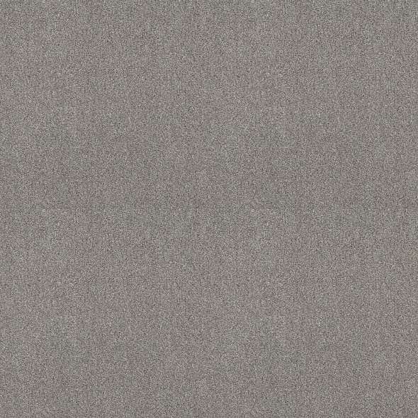 Colorwall - Tonal Comfort I - Carpet Shaw Floors