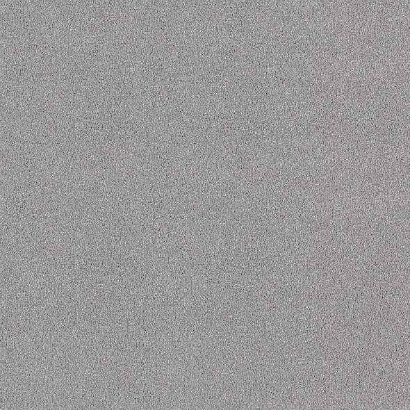Colorwall - Tonal Comfort I - Carpet Shaw Floors
