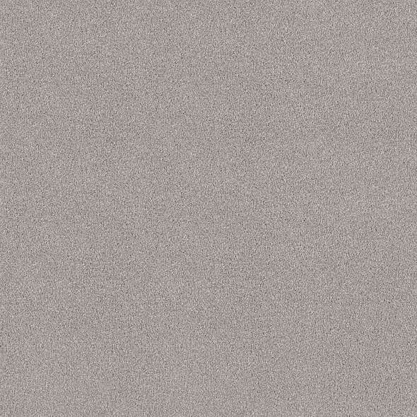 Colorwall - Tonal Comfort I - Carpet Shaw Floors